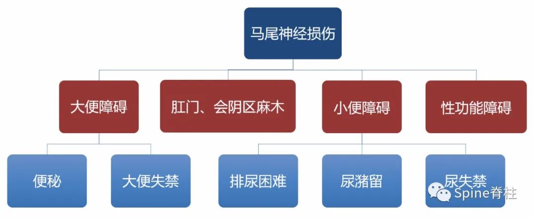 关于腰椎间盘突出症