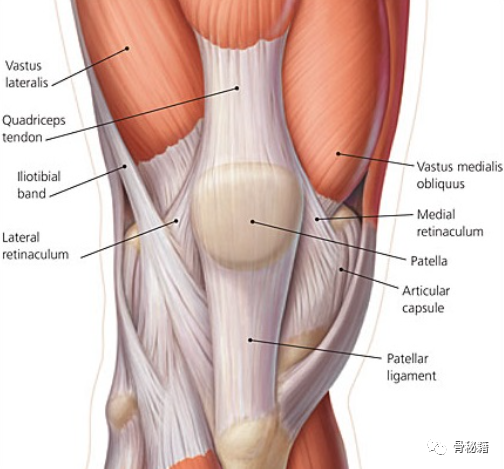 膝关节生物力学，看完本文你就理解了！