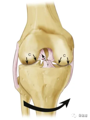 膝关节生物力学，看完本文你就理解了！
