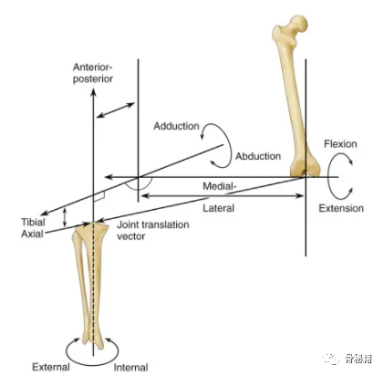 膝关节生物力学，看完本文你就理解了！