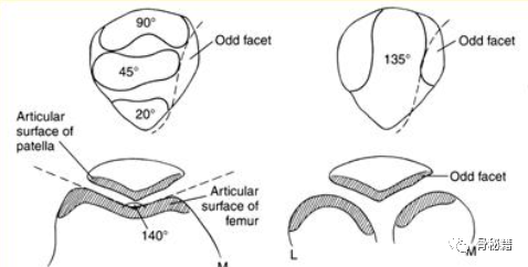 膝关节生物力学，看完本文你就理解了！