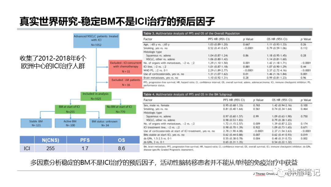 PD-1/PD-L1抑制剂治疗肺癌脑转移新进展