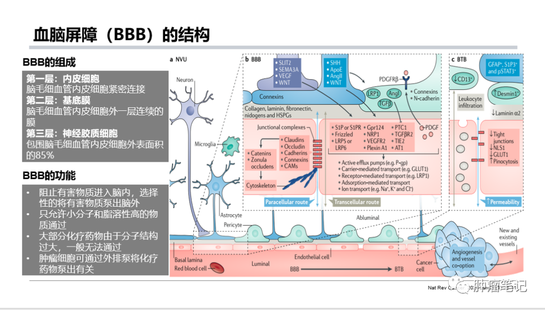 PD-1/PD-L1抑制剂治疗肺癌脑转移新进展