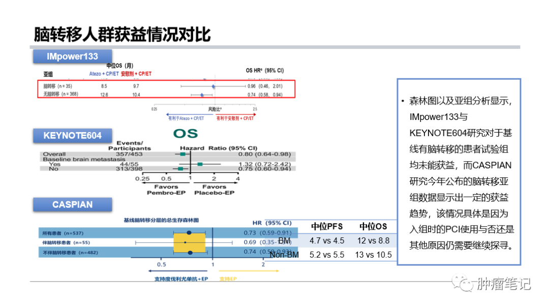 PD-1/PD-L1抑制剂治疗肺癌脑转移新进展