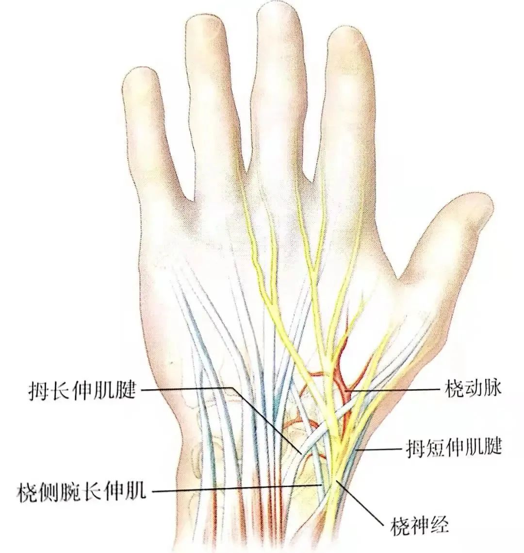 『8分钟创伤』轻松掌握：舟骨骨折骨折分型及治疗方案 - 上海开为医药科技有限公司--创伤、肢体矫形技术解决方案的专业服务商