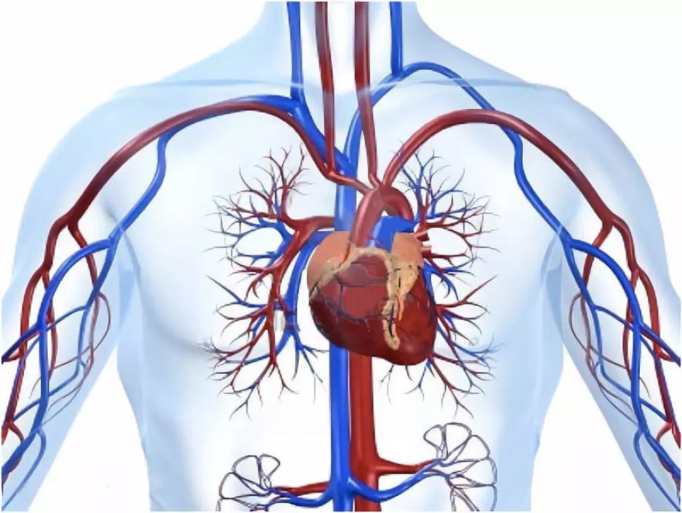 心血管疾病影像诊断学