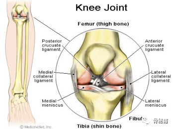 截腿踢与膝关节不愉快三联征损伤，你了解吗？