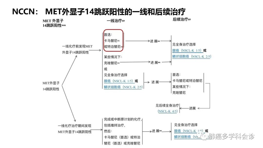 驱动基因阳性晚期NSCLC相关指南解读