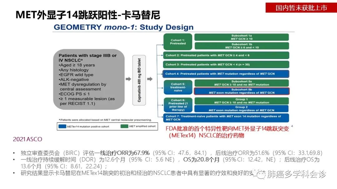 驱动基因阳性晚期NSCLC相关指南解读