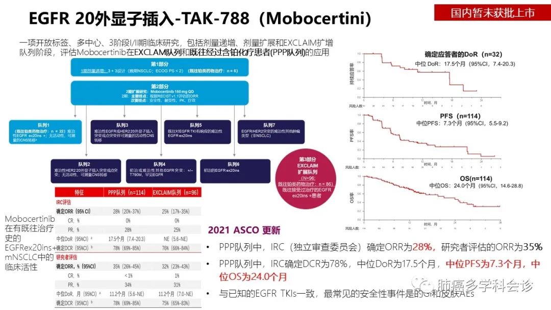 驱动基因阳性晚期NSCLC相关指南解读