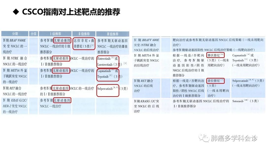 驱动基因阳性晚期NSCLC相关指南解读