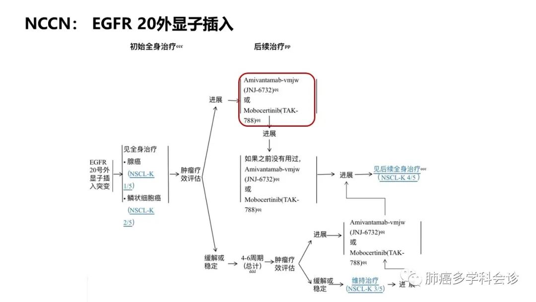 驱动基因阳性晚期NSCLC相关指南解读