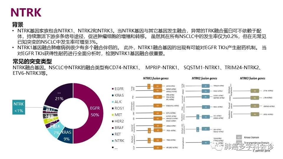 中国非小细胞肺癌分子病理检测临床实践指南解读