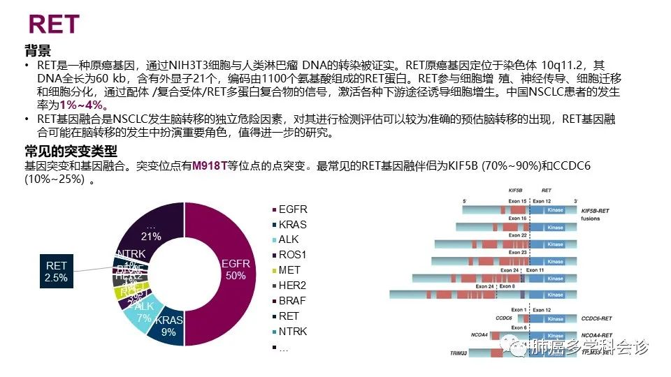 中国非小细胞肺癌分子病理检测临床实践指南解读