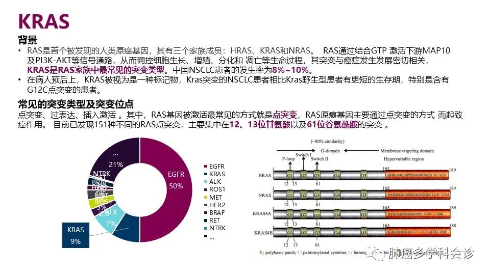 中国非小细胞肺癌分子病理检测临床实践指南解读