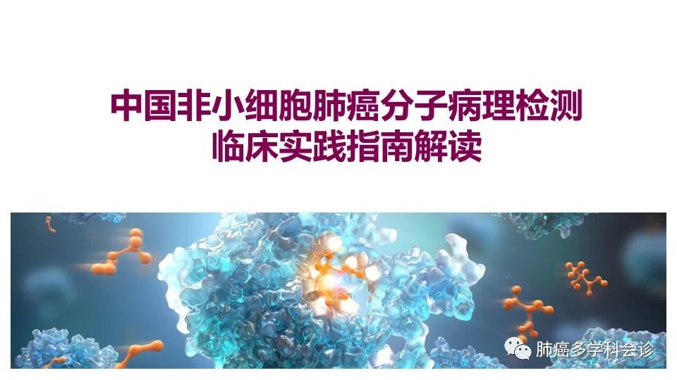 中国非小细胞肺癌分子病理检测临床实践指南解读