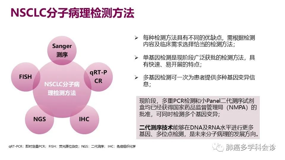 中国非小细胞肺癌分子病理检测临床实践指南解读