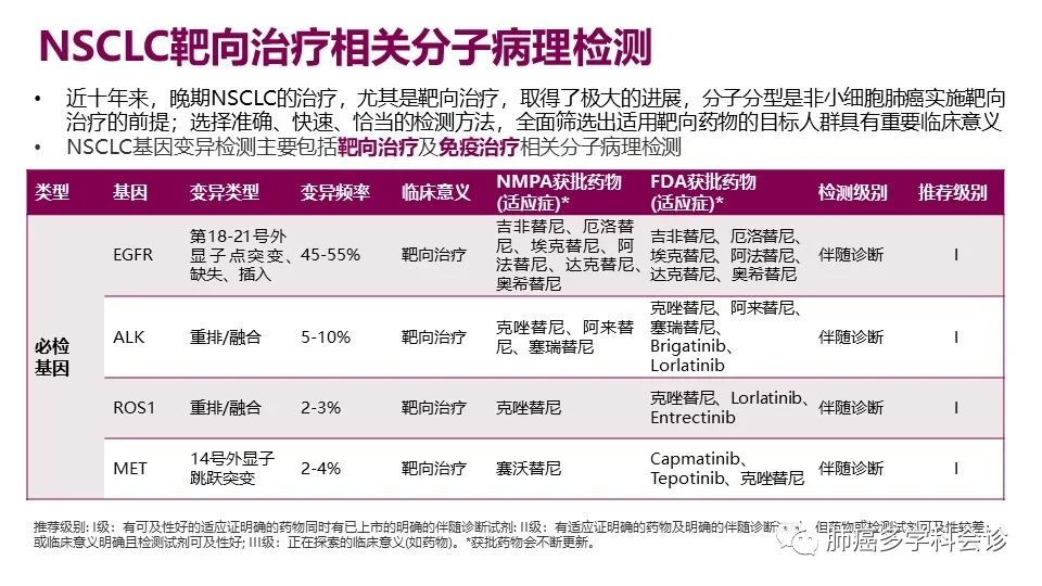 中国非小细胞肺癌分子病理检测临床实践指南解读