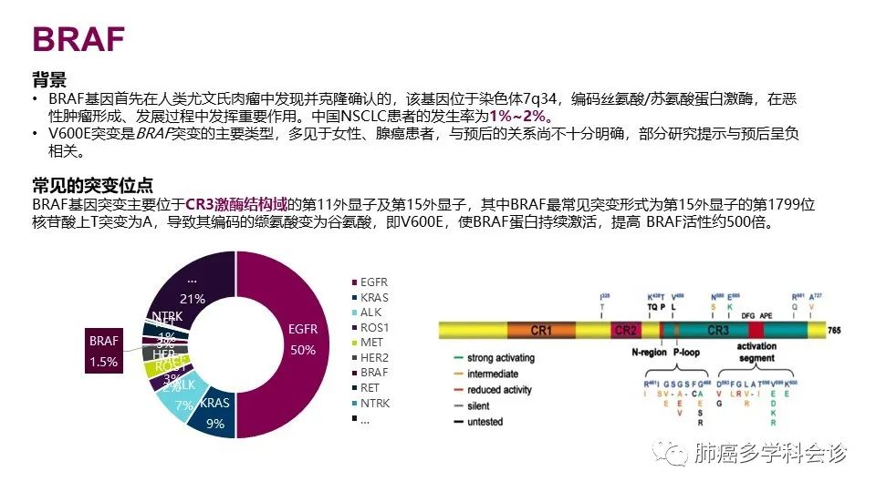 中国非小细胞肺癌分子病理检测临床实践指南解读