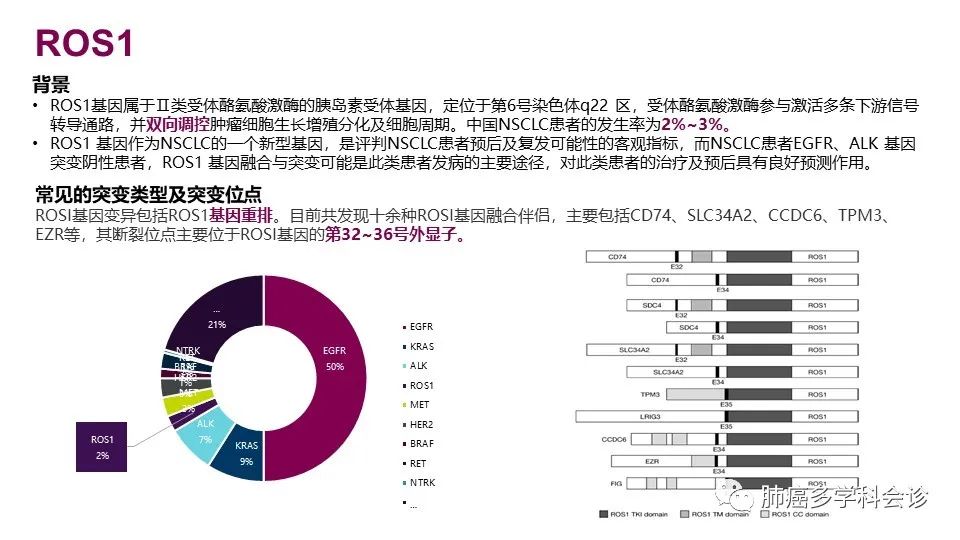 中国非小细胞肺癌分子病理检测临床实践指南解读