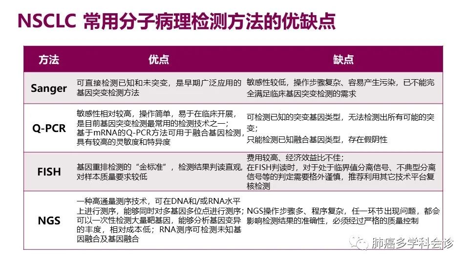 中国非小细胞肺癌分子病理检测临床实践指南解读