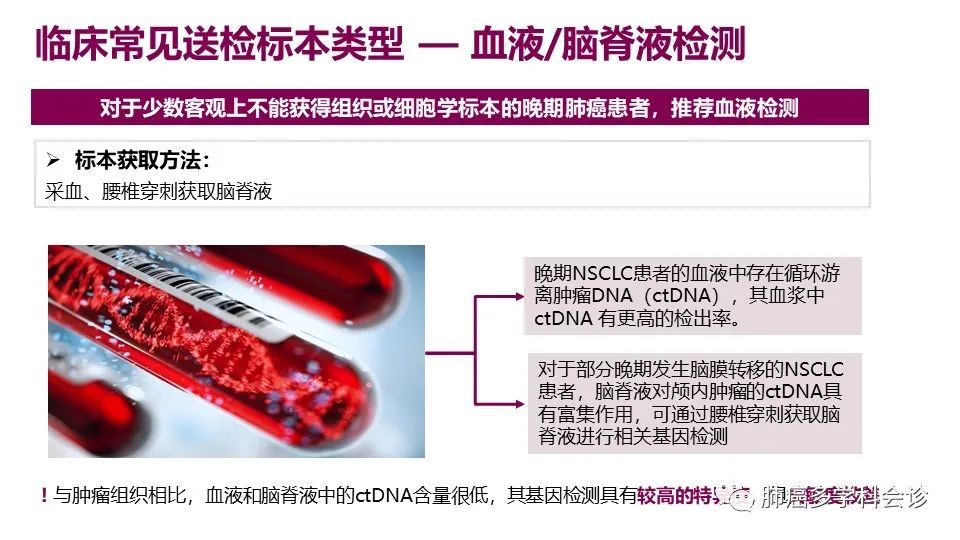 中国非小细胞肺癌分子病理检测临床实践指南解读