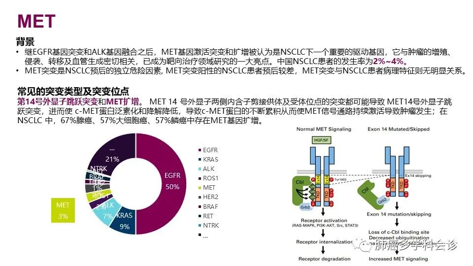 中国非小细胞肺癌分子病理检测临床实践指南解读