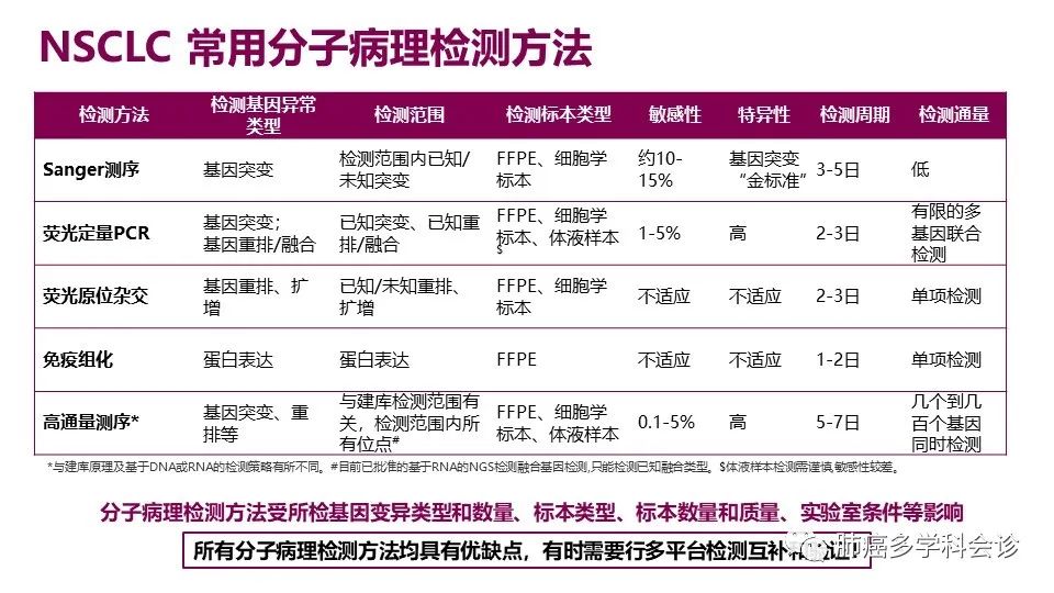 中国非小细胞肺癌分子病理检测临床实践指南解读