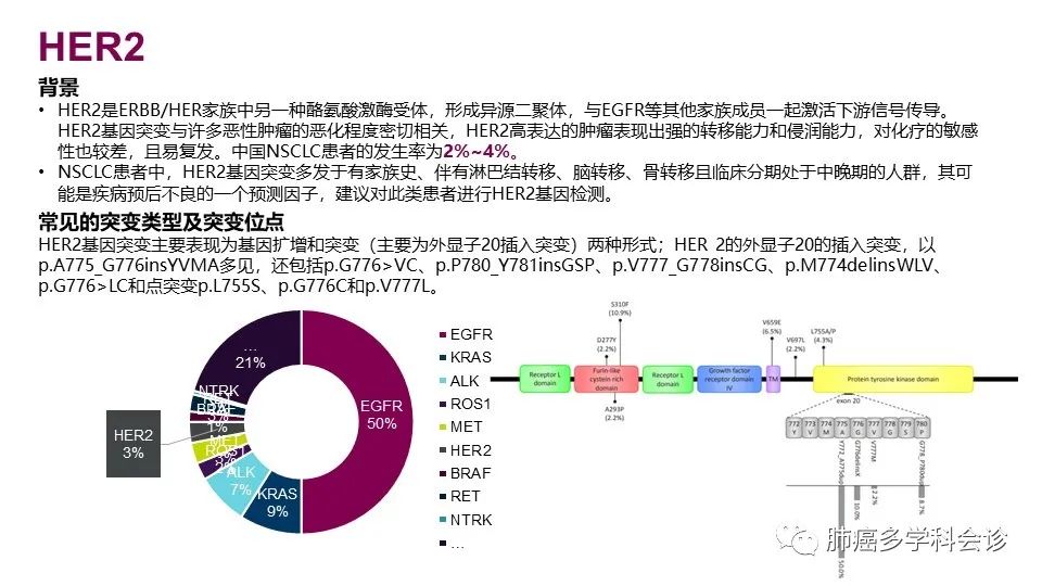 中国非小细胞肺癌分子病理检测临床实践指南解读