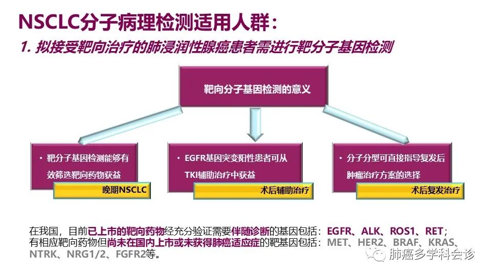 中国非小细胞肺癌分子病理检测临床实践指南解读