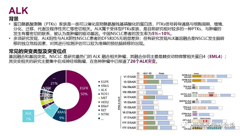 中国非小细胞肺癌分子病理检测临床实践指南解读