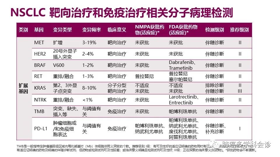 中国非小细胞肺癌分子病理检测临床实践指南解读