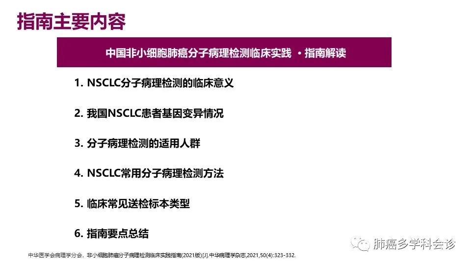 中国非小细胞肺癌分子病理检测临床实践指南解读