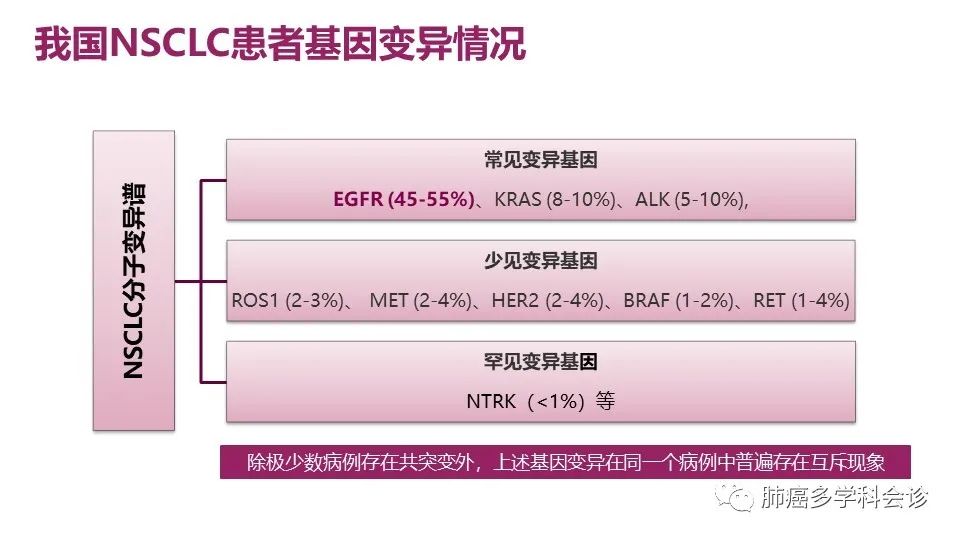 中国非小细胞肺癌分子病理检测临床实践指南解读