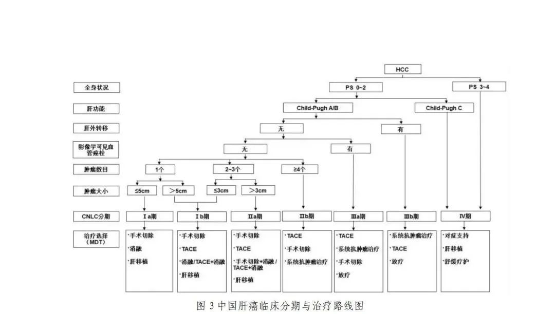 全文收藏丨原发性肝癌诊疗指南(2022年版)