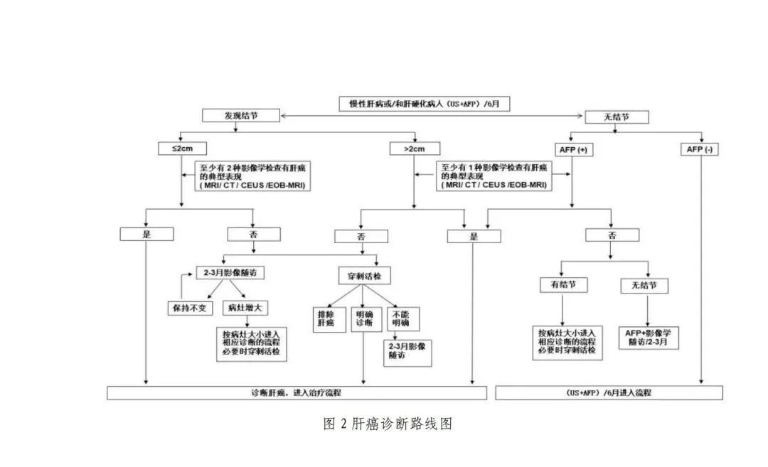 全文收藏丨原发性肝癌诊疗指南(2022年版)