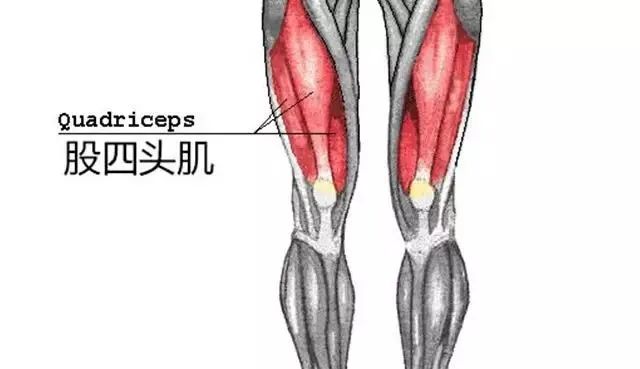 膝盖周边痛！膝关节疼痛一般是什么病？