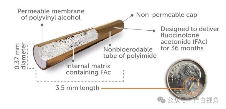 视网膜缓释药物递送最新进展