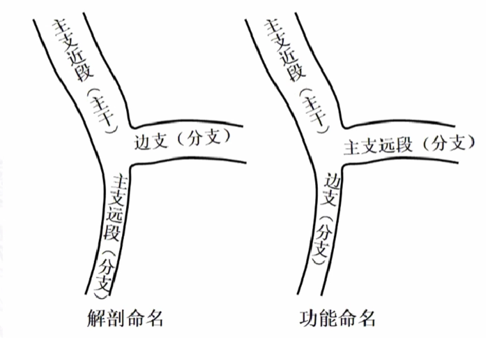 介入笔记