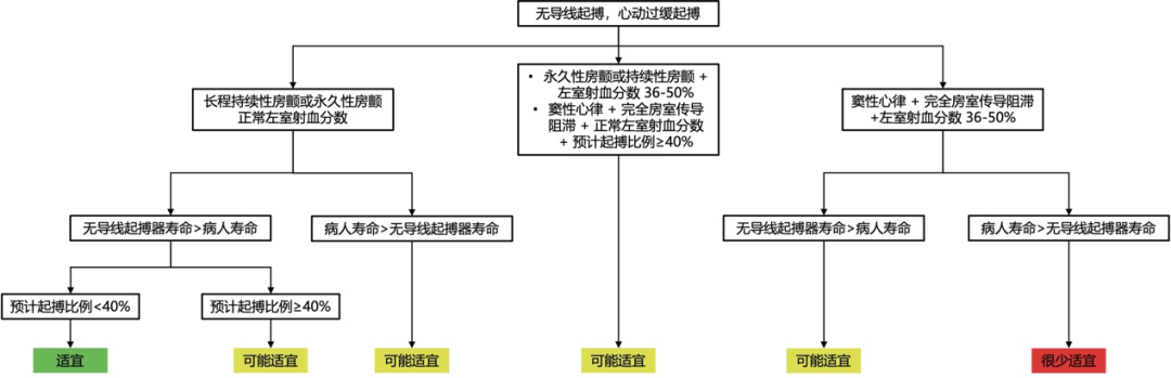 ACC/AHA/HRS等2025植入式心律转复除颤器、心脏再同步化治疗和起搏疗法的使用准则