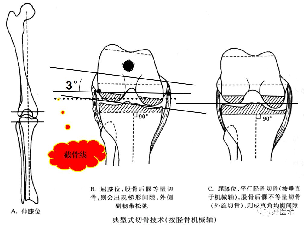 经典必读