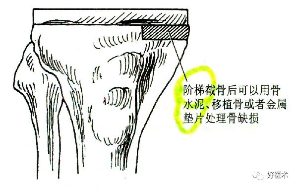 经典必读