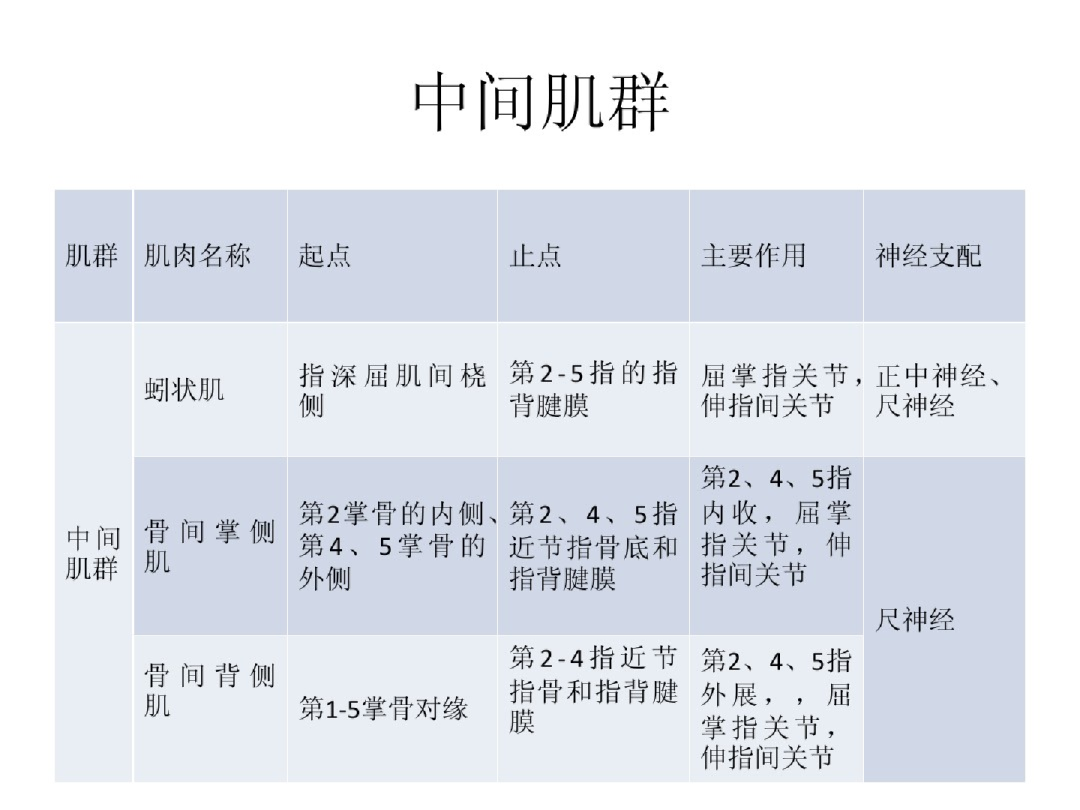 手部解剖讲解，骨科基础必备！