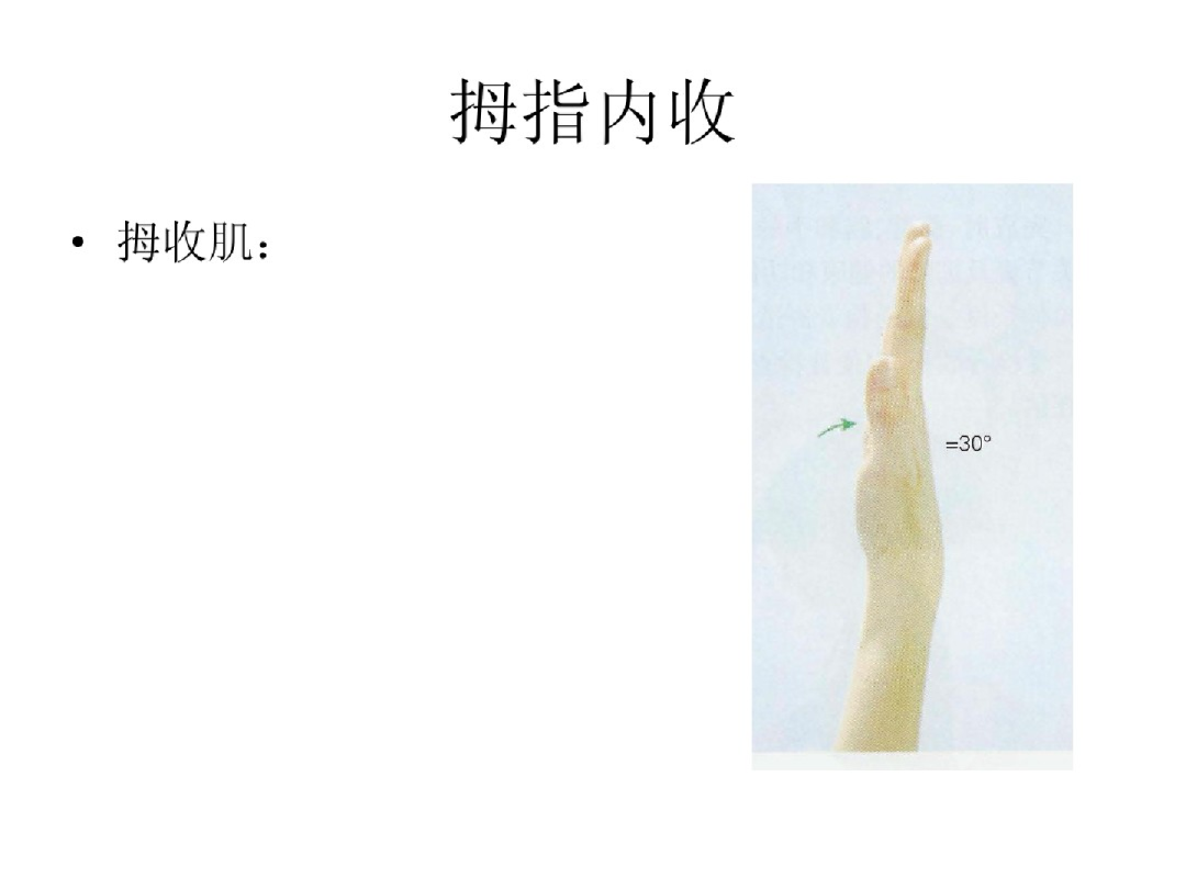 手部解剖讲解，骨科基础必备！