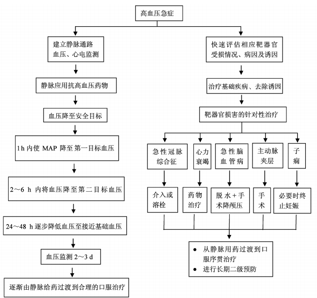 一文读懂！高血压危象的患者的紧急处理措施