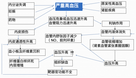 一文读懂！高血压危象的患者的紧急处理措施