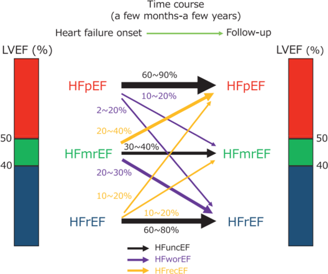 管理心衰，要关注LVEF变化轨迹！欧美日心衰学会联合共识