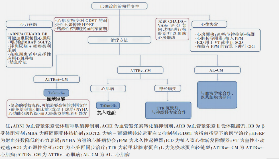 从一个病例学习心肌淀粉样变的临床诊疗策略