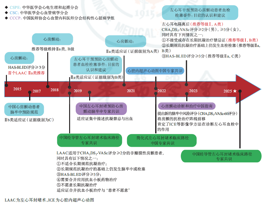 抗凝治疗受限？出血风险高？这份LAAC共识为房颤患者打开“安全通道”！