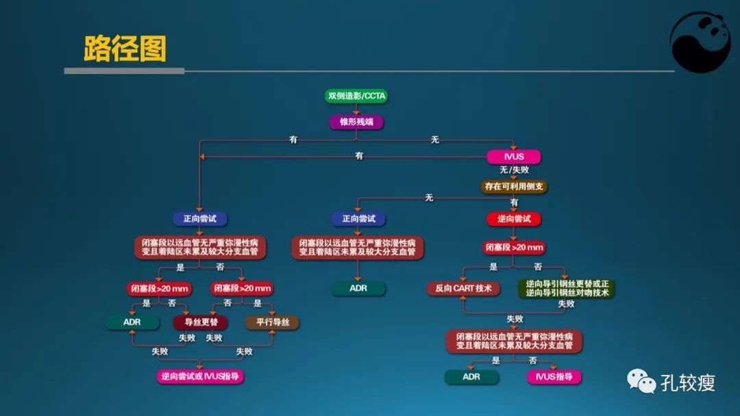 从零开始,掌握冠脉造影读片要领